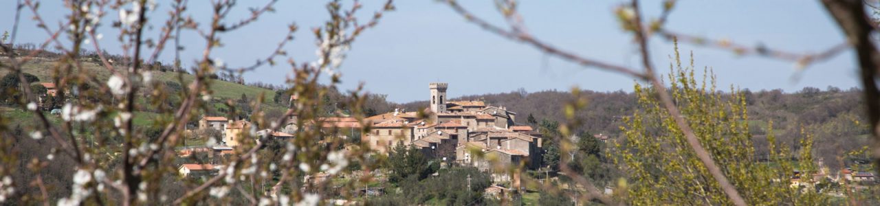 Villa Campo Rinaldo in Umbria - View